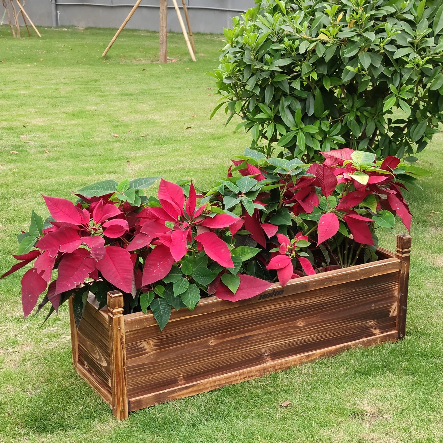 Raised Garden Bed Planter Window Mounted Wood Box For Plants