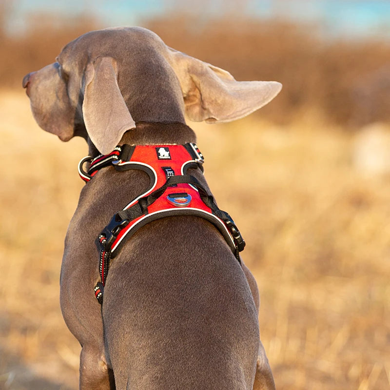 TRUELOVECN Reflective No Pull Dog Harness Adjustable
