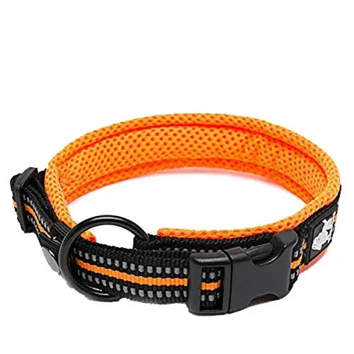 TRUELOVECN Truelove Nylon Padded Reflective Dog Collar