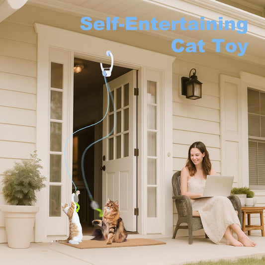 Cityflee Electric Door Hanging Cat Toy Interactive USB Rechargeable