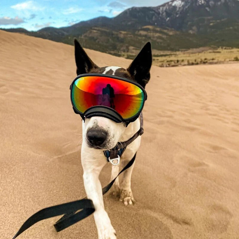 PETRAVELCN Dog Goggles Anti UV Sunglasses Windproof Travel