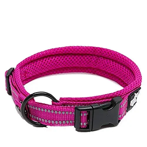 TRUELOVECN Truelove Nylon Padded Reflective Dog Collar