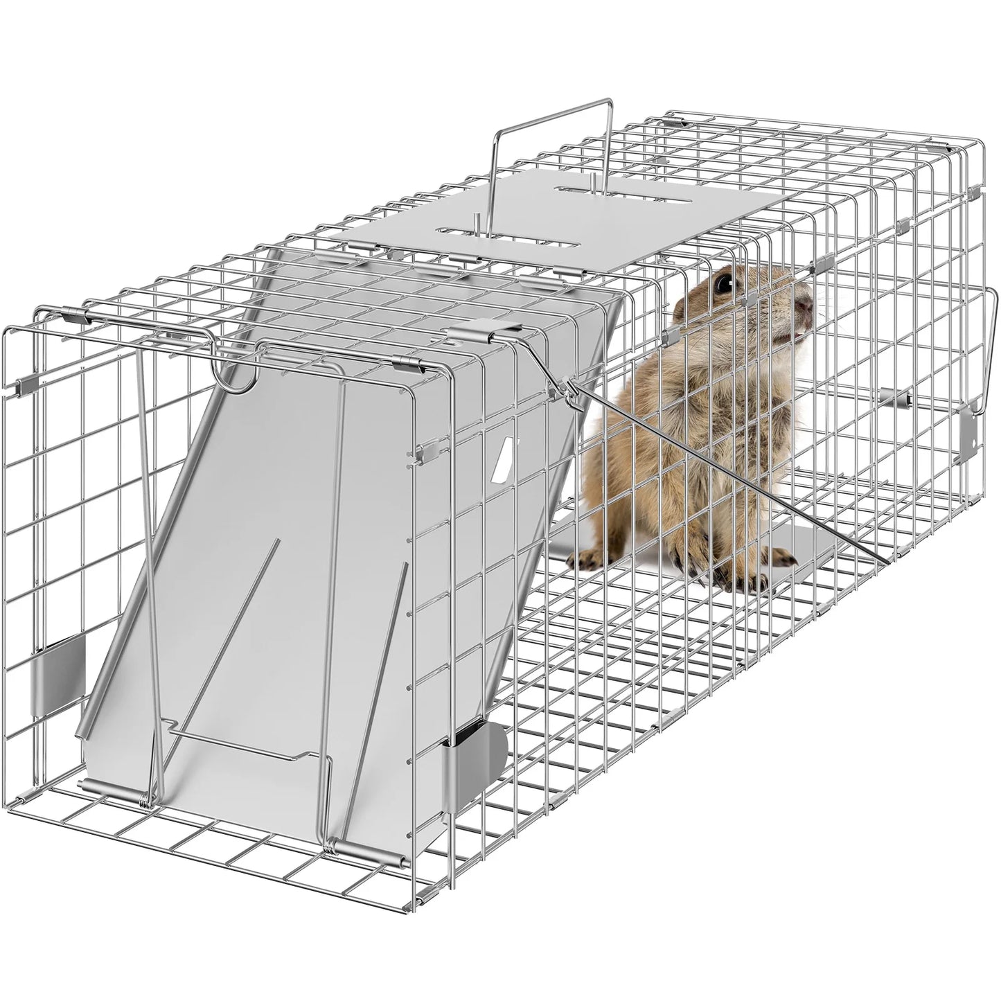 Live Animal Cage Trap Foldable Humane With Handle For Cats
