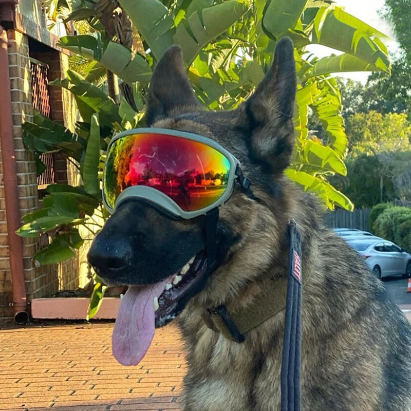 PETRAVELCN Dog Goggles Anti UV Sunglasses Windproof Travel