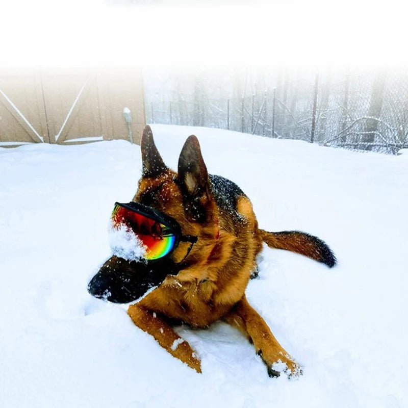 PETRAVELCN Dog Goggles Anti UV Sunglasses Windproof Travel