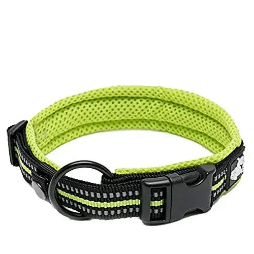 TRUELOVECN Truelove Nylon Padded Reflective Dog Collar