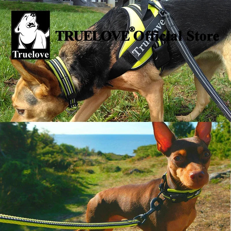 TRUELOVECN Truelove Nylon Padded Reflective Dog Collar