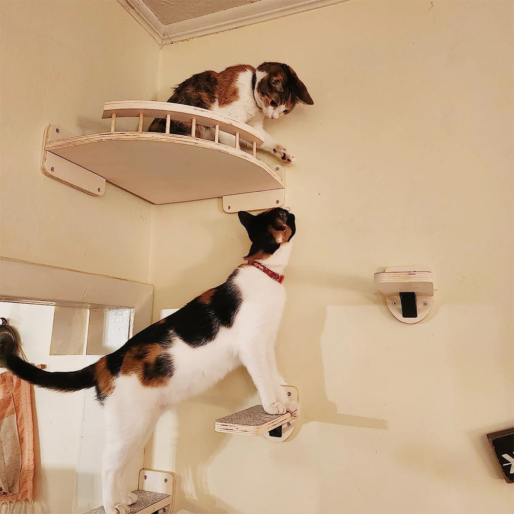 PETRAVELCN Cat Wall Mounted Four Step Climbing Shelf Sisal Post