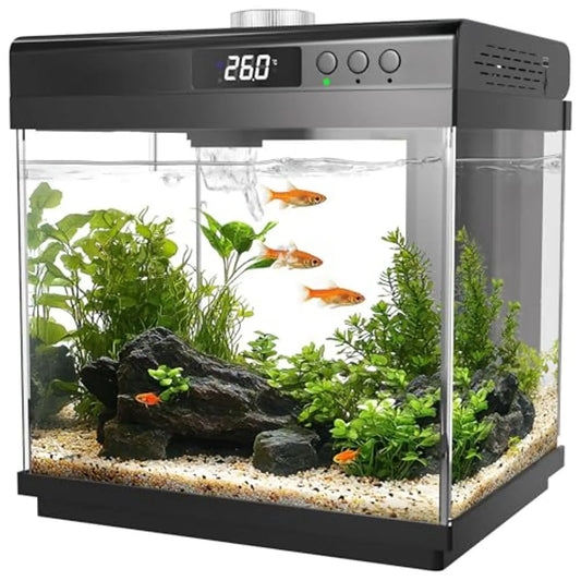 Aquarium Starter Kit Glass Fish Tank With Filter And Light