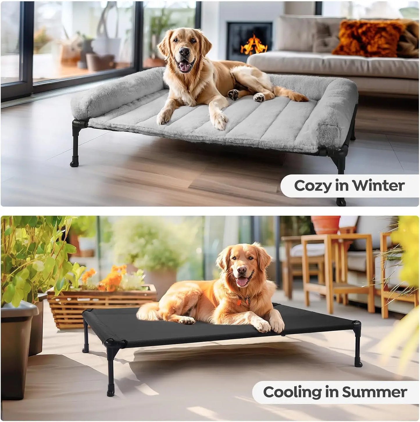 Elevated Orthopedic Dog Bed With Bolster And Removable Mat