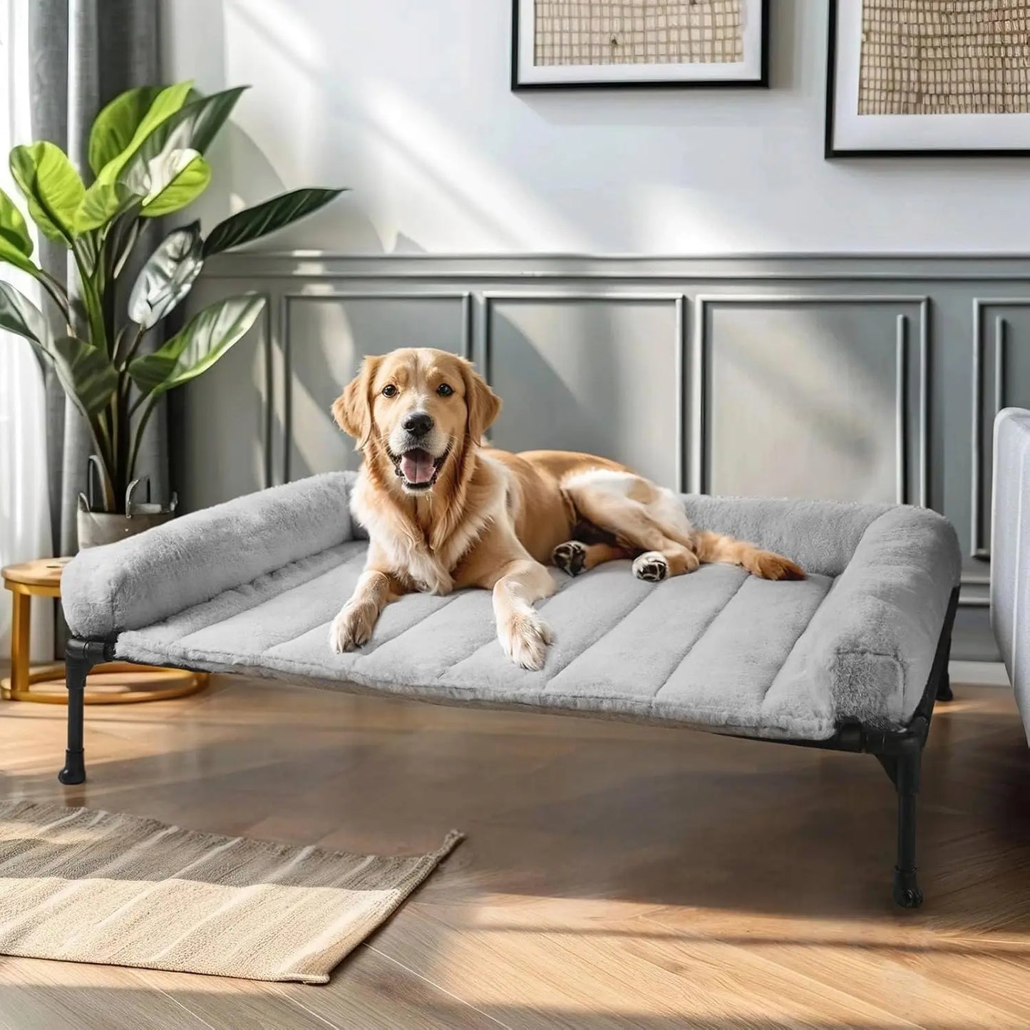 Elevated Orthopedic Dog Bed With Bolster And Removable Mat