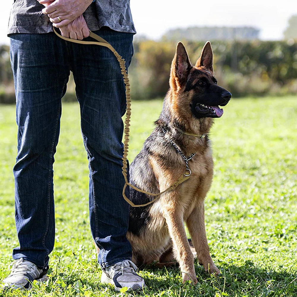 PETRAVELCN Military Dog Leash Adjustable Quick Release With Dual Handles