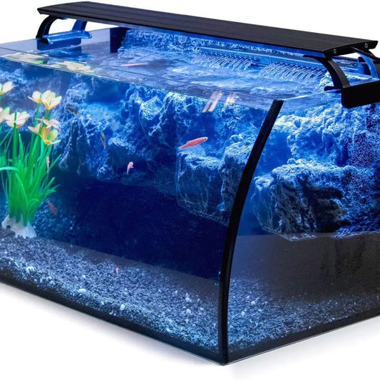 Glass Aquarium Kit With Filter Pump And LED Lighting